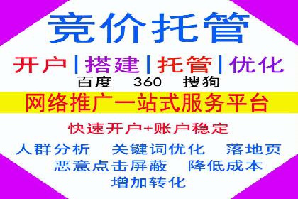 某大型企业选择SEM竞价代运营公司的决策过程与效果评估